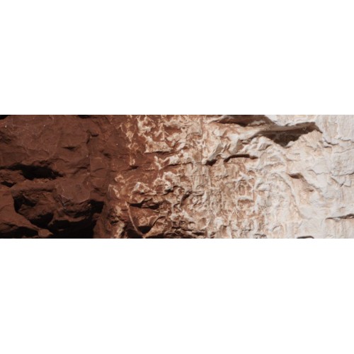 C1222 Burnt Umber (สีสูตรน้ำสำหรับทาพื้นผิวสีน้ำตาลแดง )