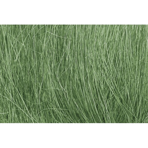 FG174	ทุ่งหญ้าสีเขียวกลาง MEDIUM GREEN FIELD GRASS  